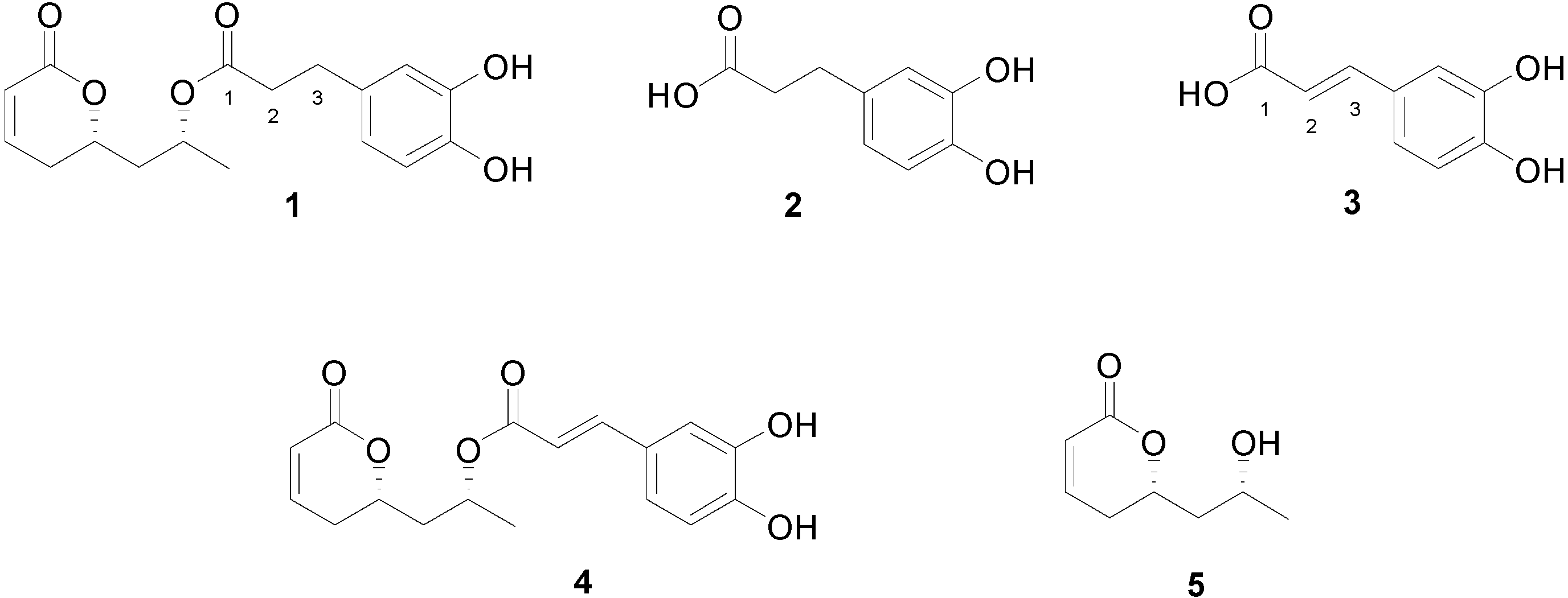 Molecules 20 05038 g001