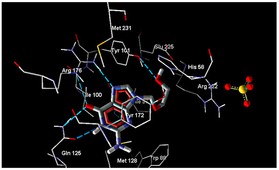 Molecules 20 05099 g001 550