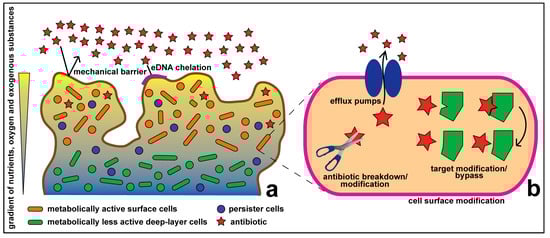 Molecules 20 05286 g001 550