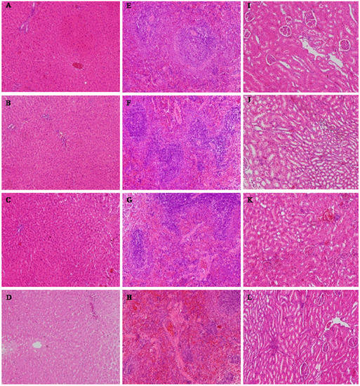 Molecules 20 05299 g003 550