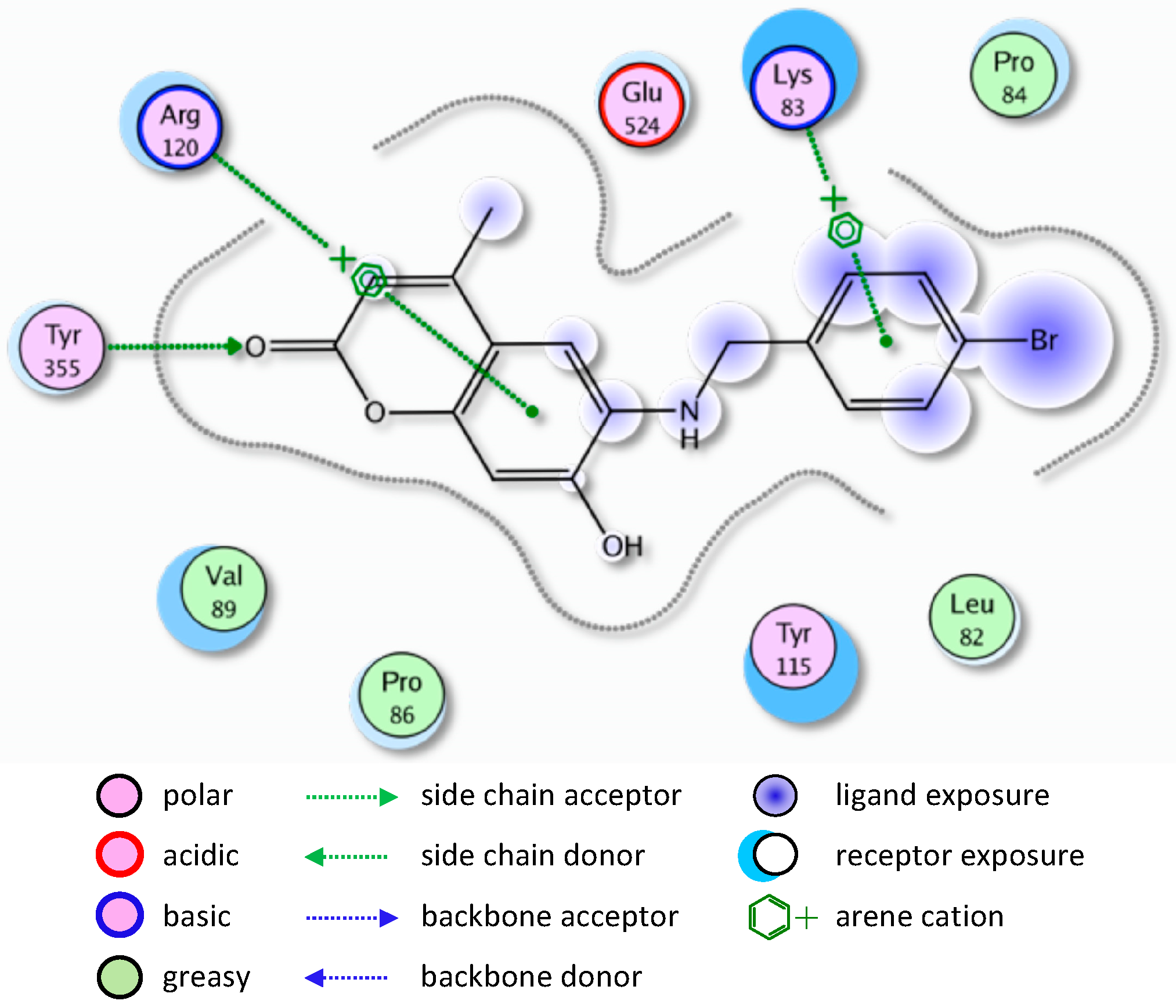 Molecules 20 05374 g004