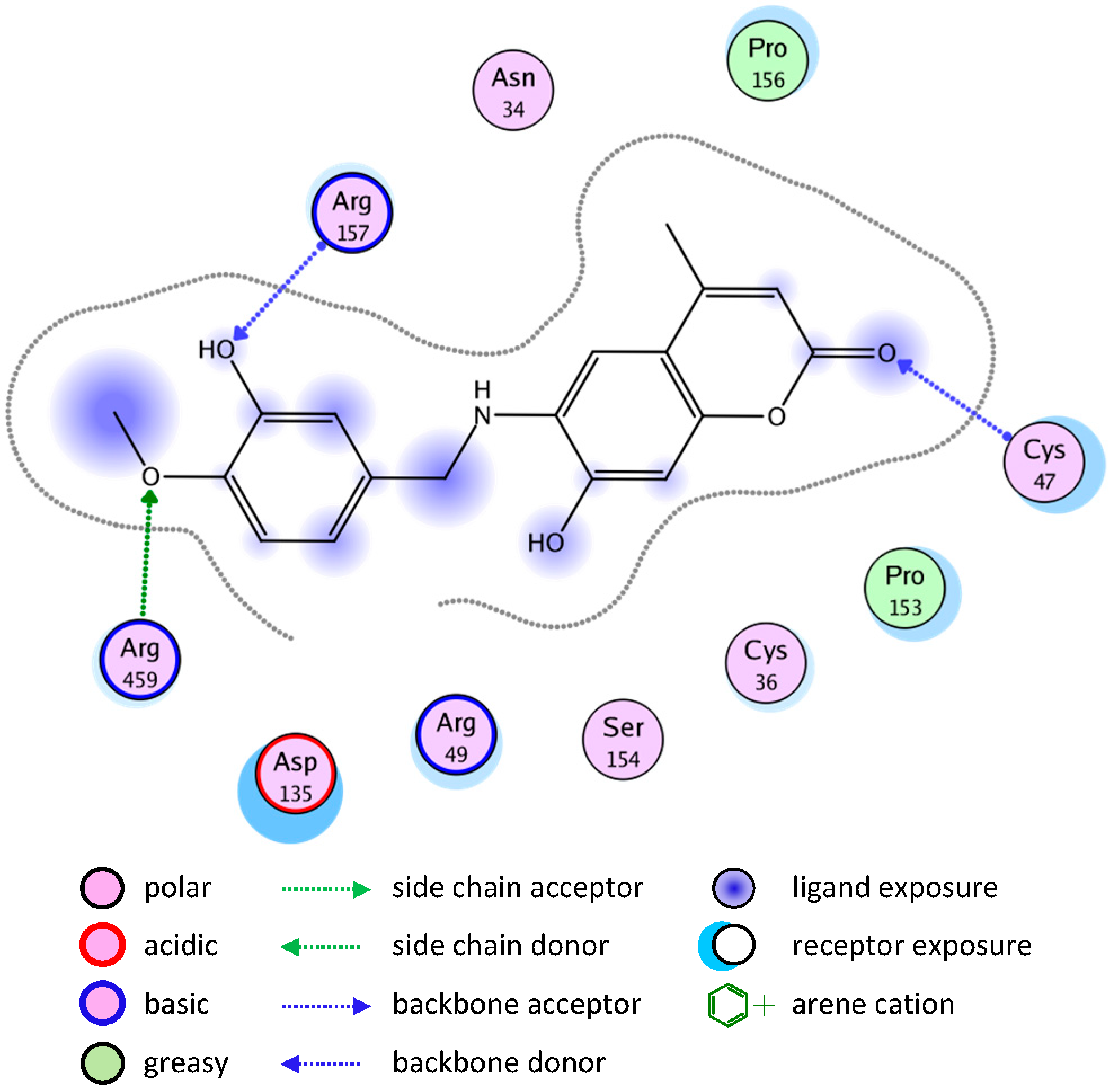 Molecules 20 05374 g007