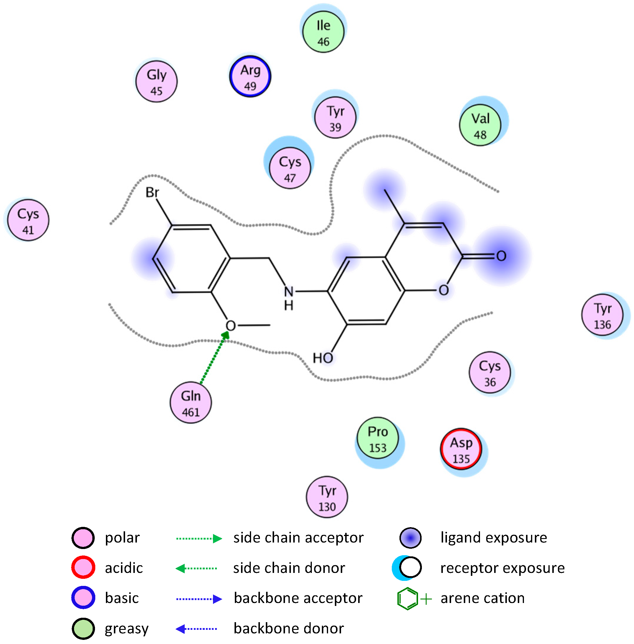 Molecules 20 05374 g011