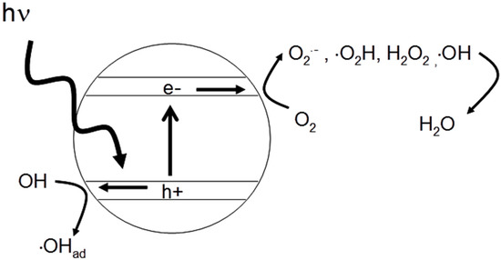 Molecules 20 05574 g002 550
