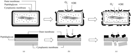 Molecules 20 05574 g003 550