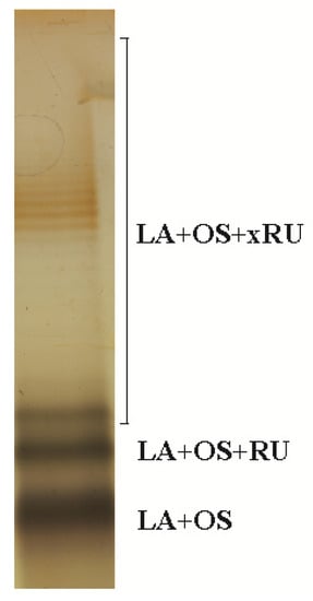 Molecules 20 05729 g001 550