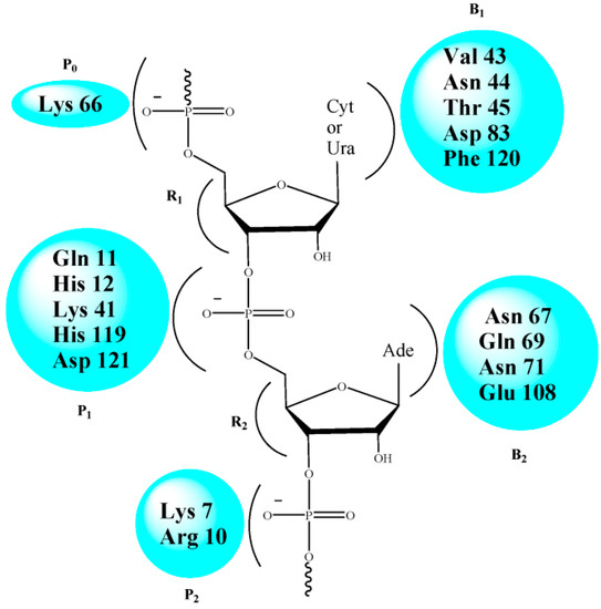 Molecules 20 05924 g001 550