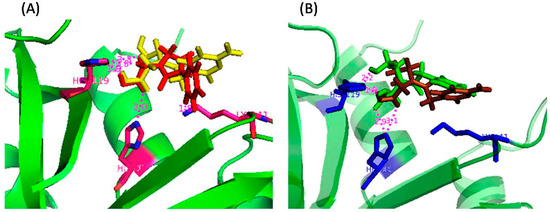 Molecules 20 05924 g006 550