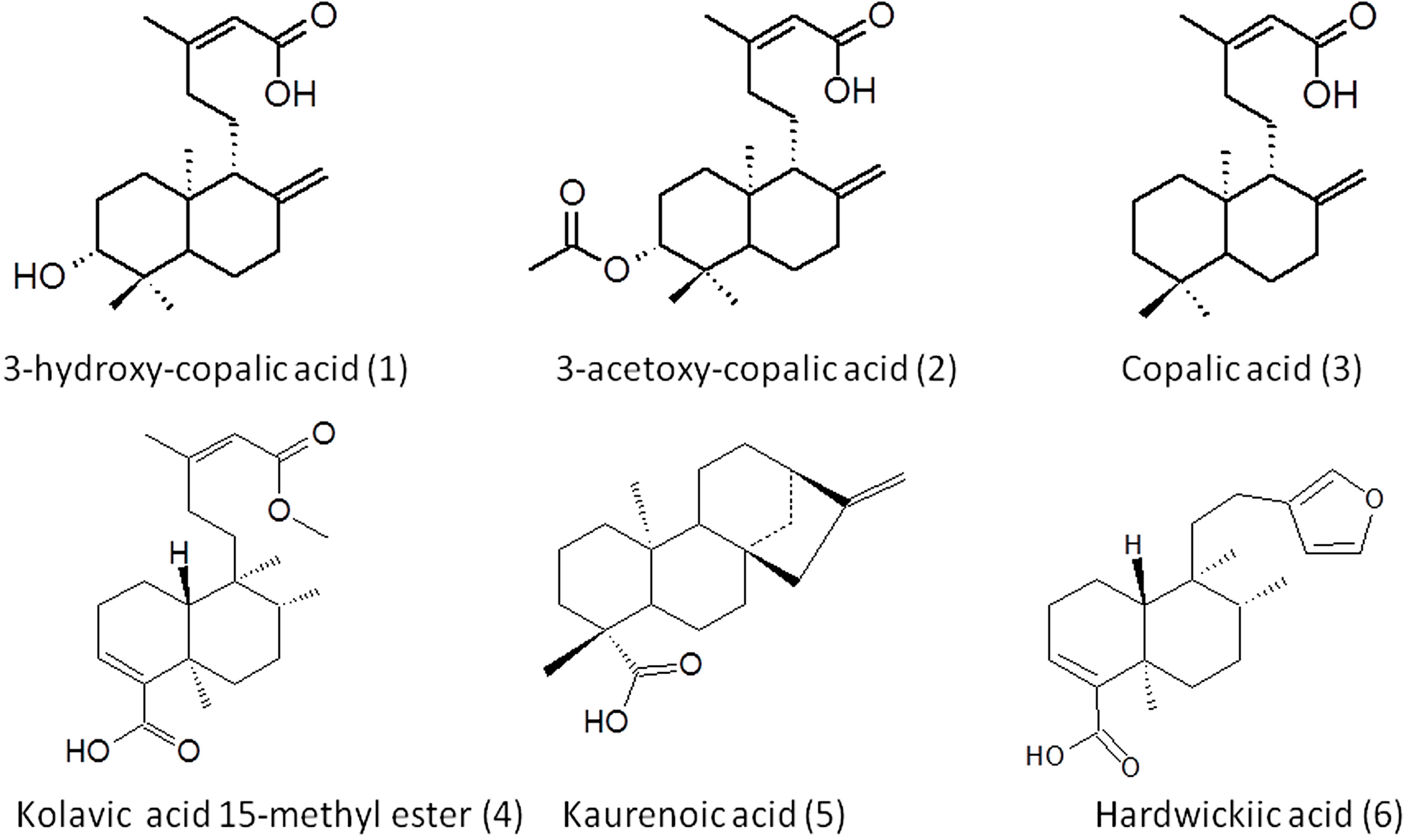 Molecules 20 06194 g003