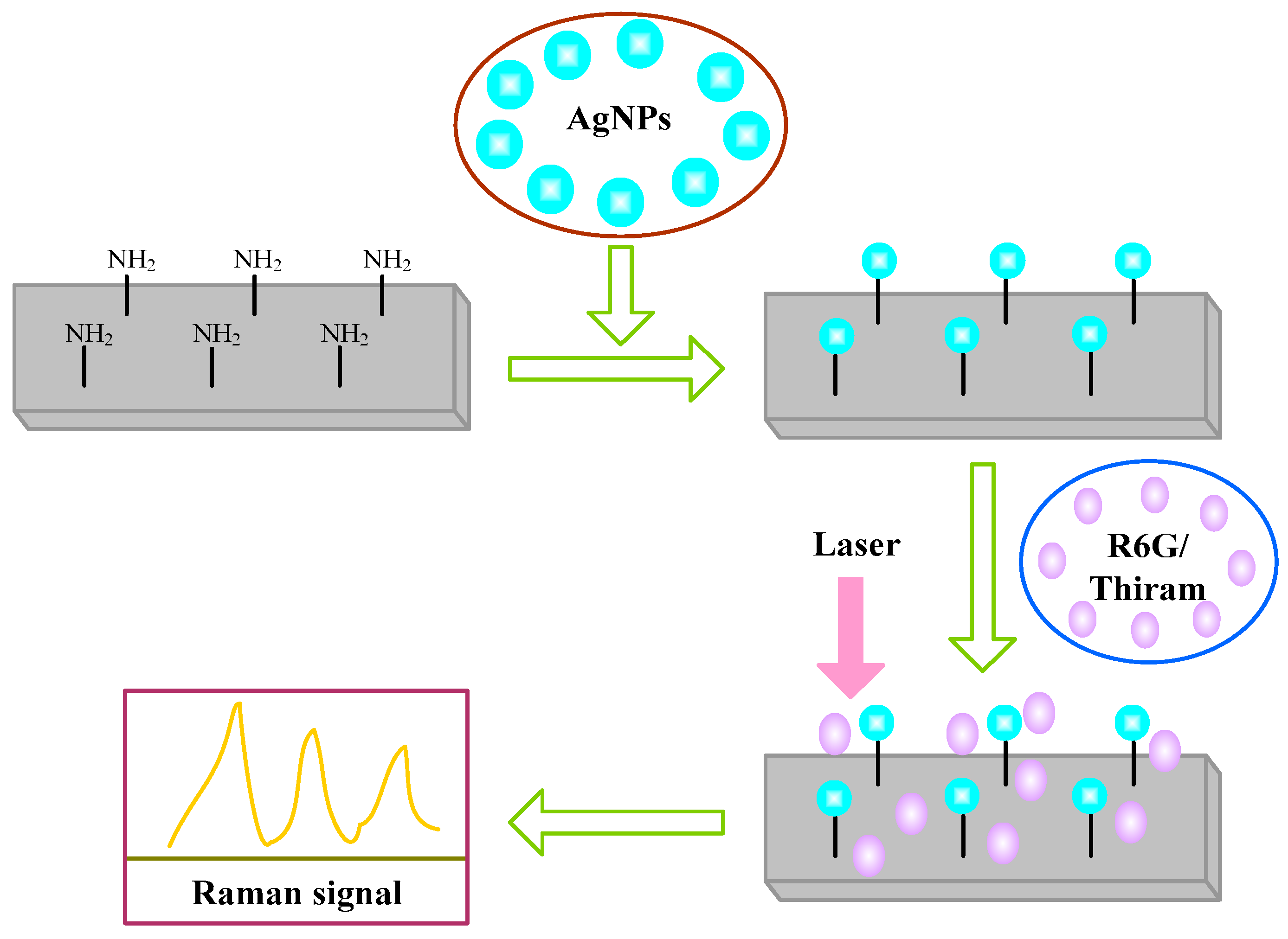 Molecules 20 06299 g001