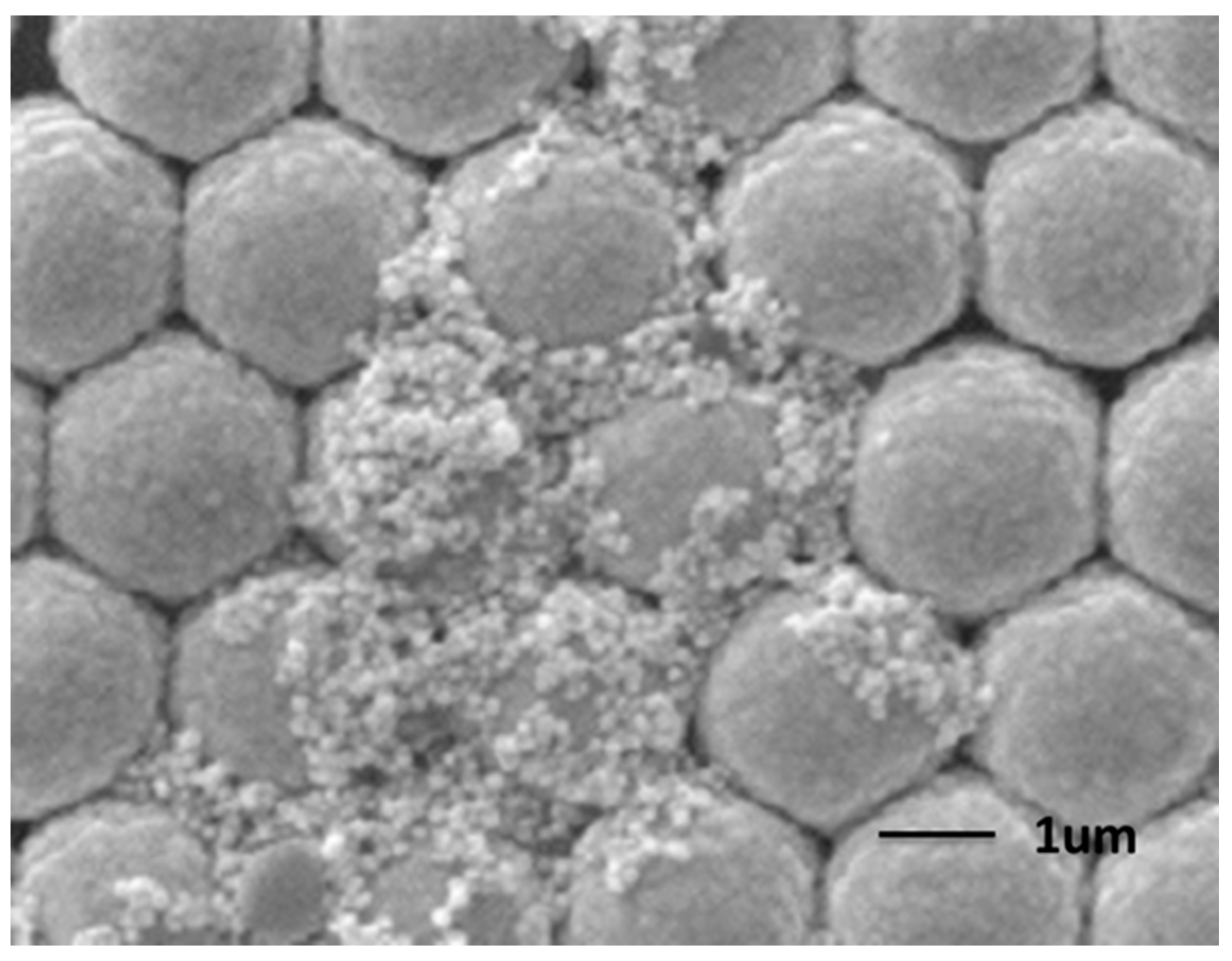 Molecules 20 06299 g004