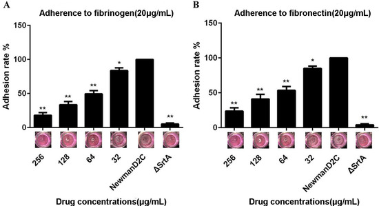 Molecules 20 06533 g002 550