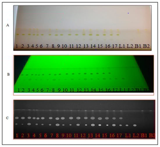 Molecules 20 06611 g004 550