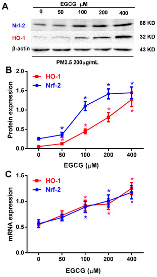 Molecules 20 06626 g005 550