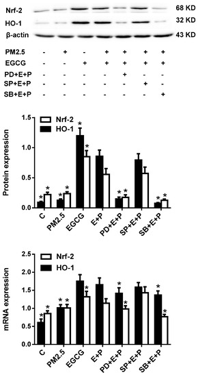 Molecules 20 06626 g006 550