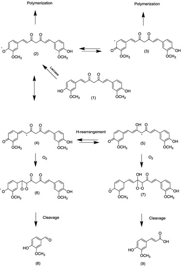 Molecules 20 06640 g001 550