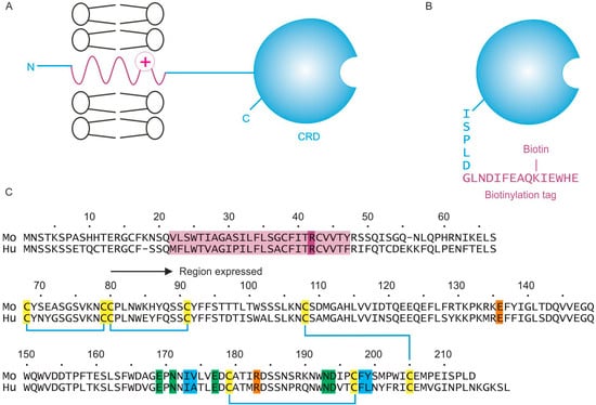 Molecules 20 06670 g001 550