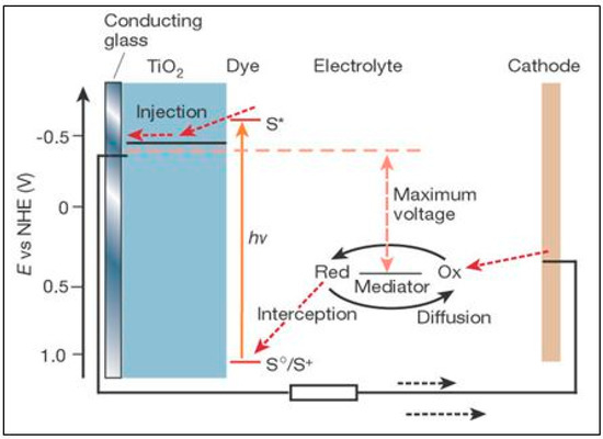 Molecules 20 06739 g006 550