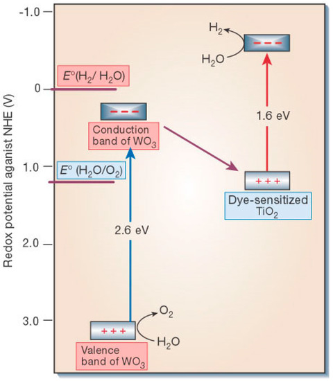 Molecules 20 06739 g016 550
