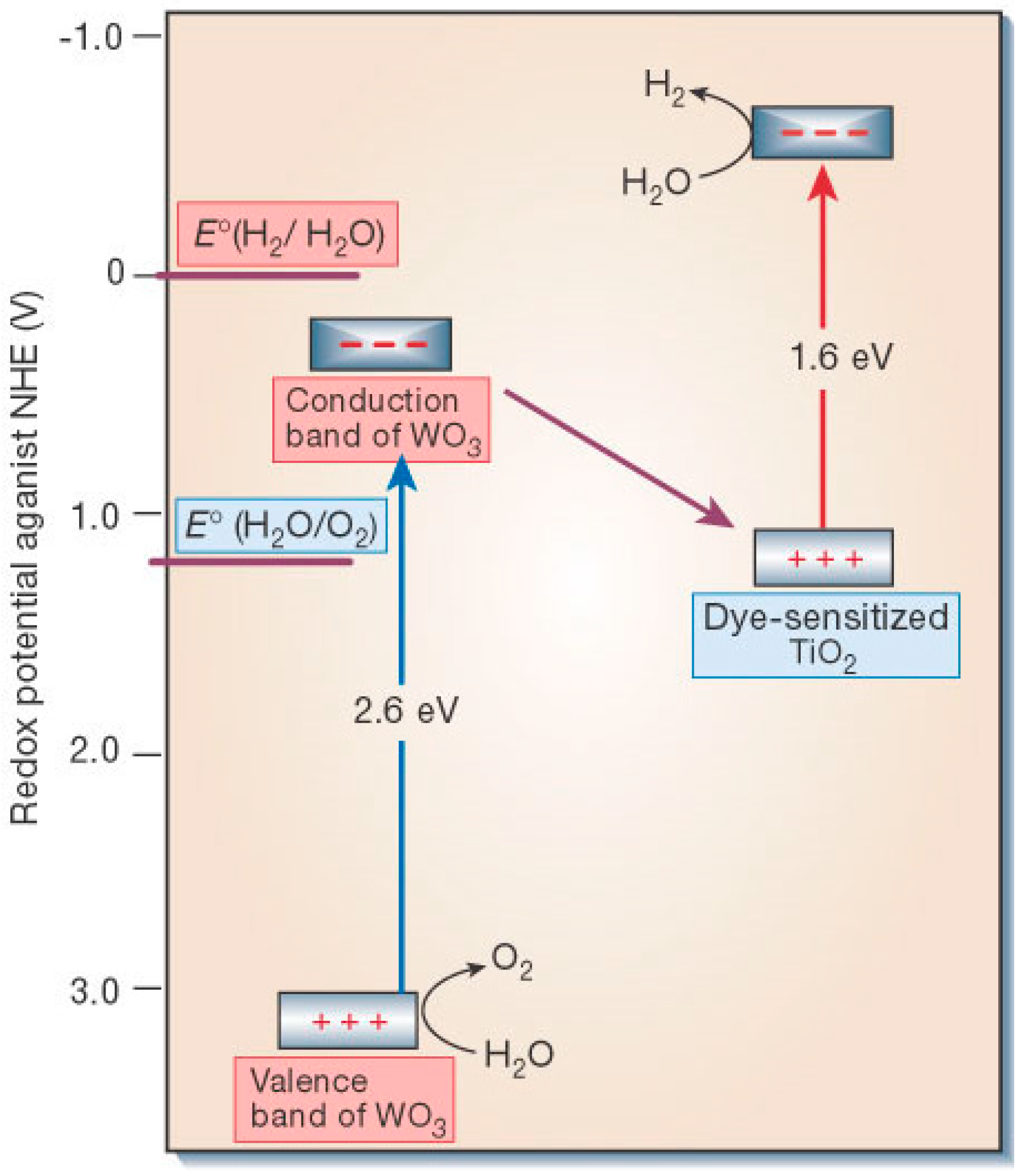Molecules 20 06739 g016