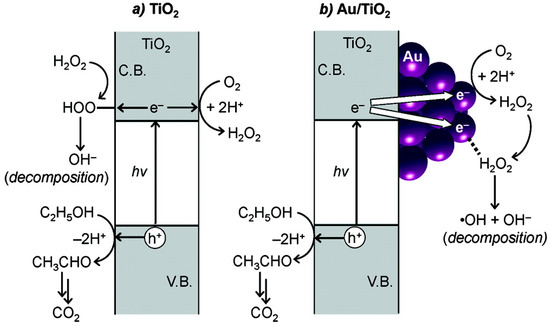 Molecules 20 06739 g020 550