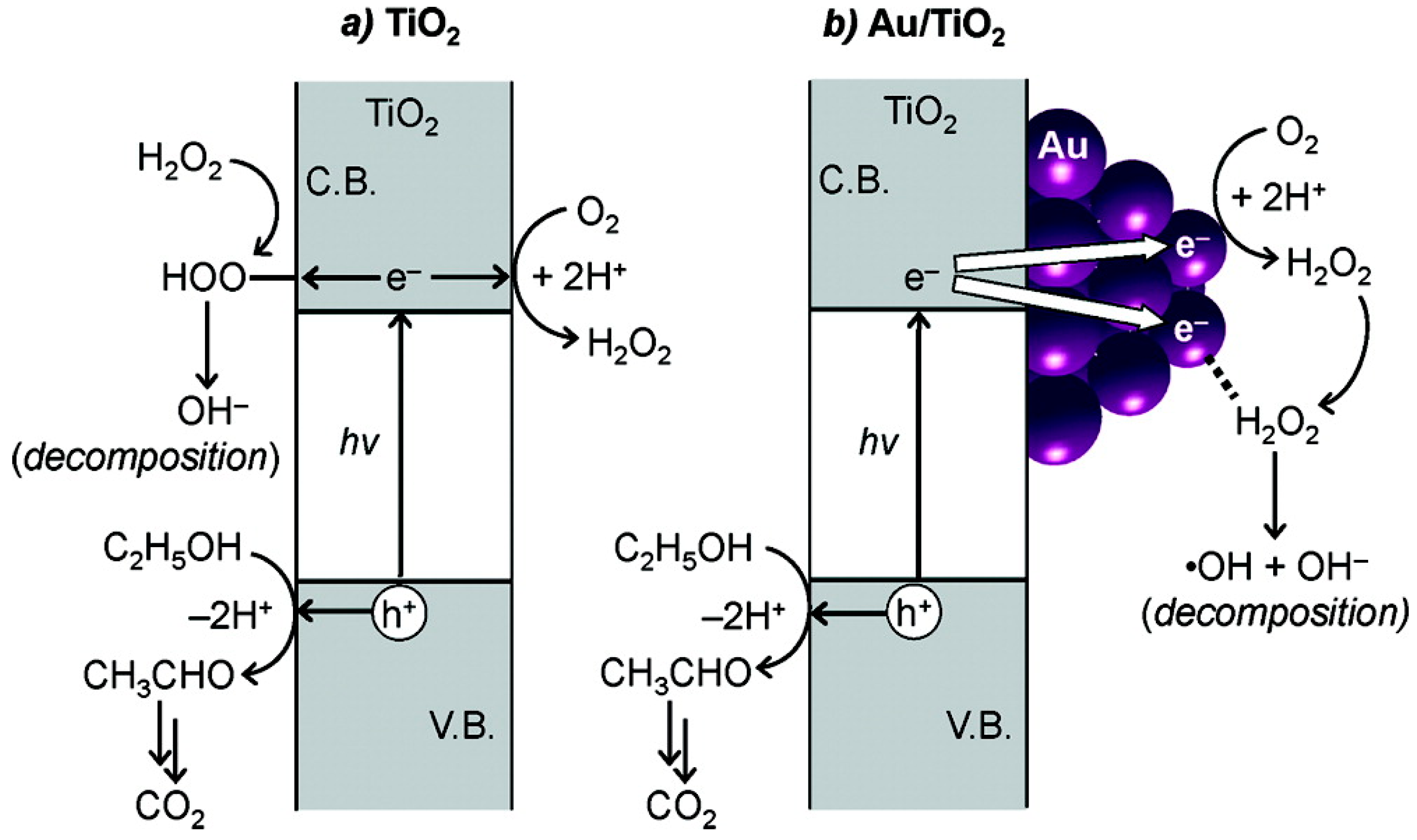 Molecules 20 06739 g020