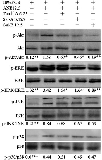 Molecules 20 06794 g004 550