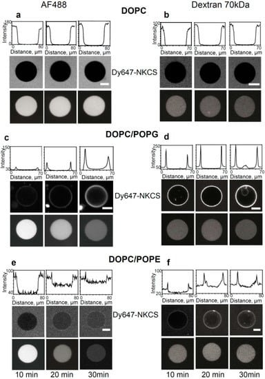 Molecules 20 06941 g004 550