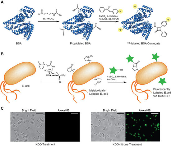 Molecules 20 06959 g001 550