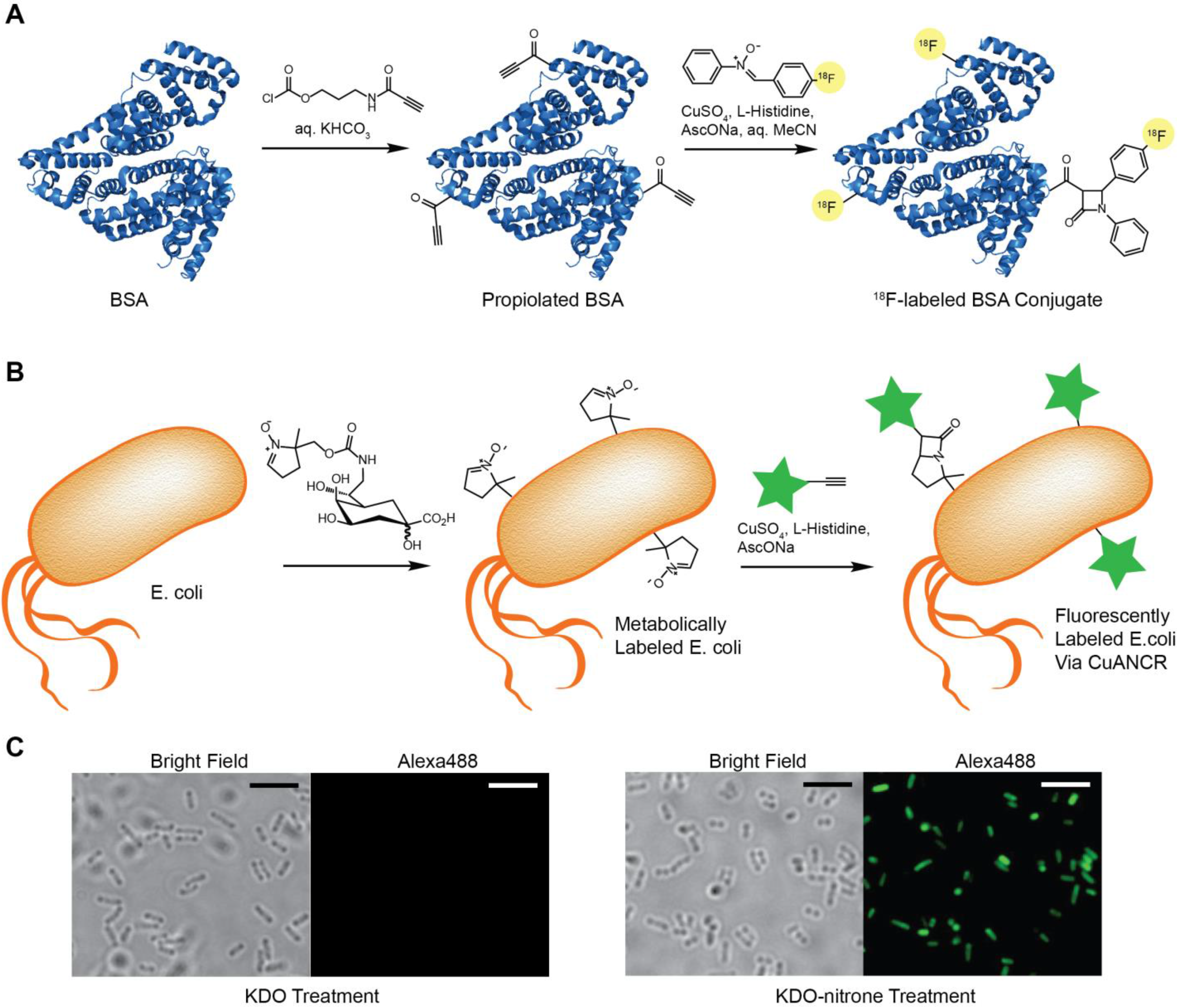 Molecules 20 06959 g001