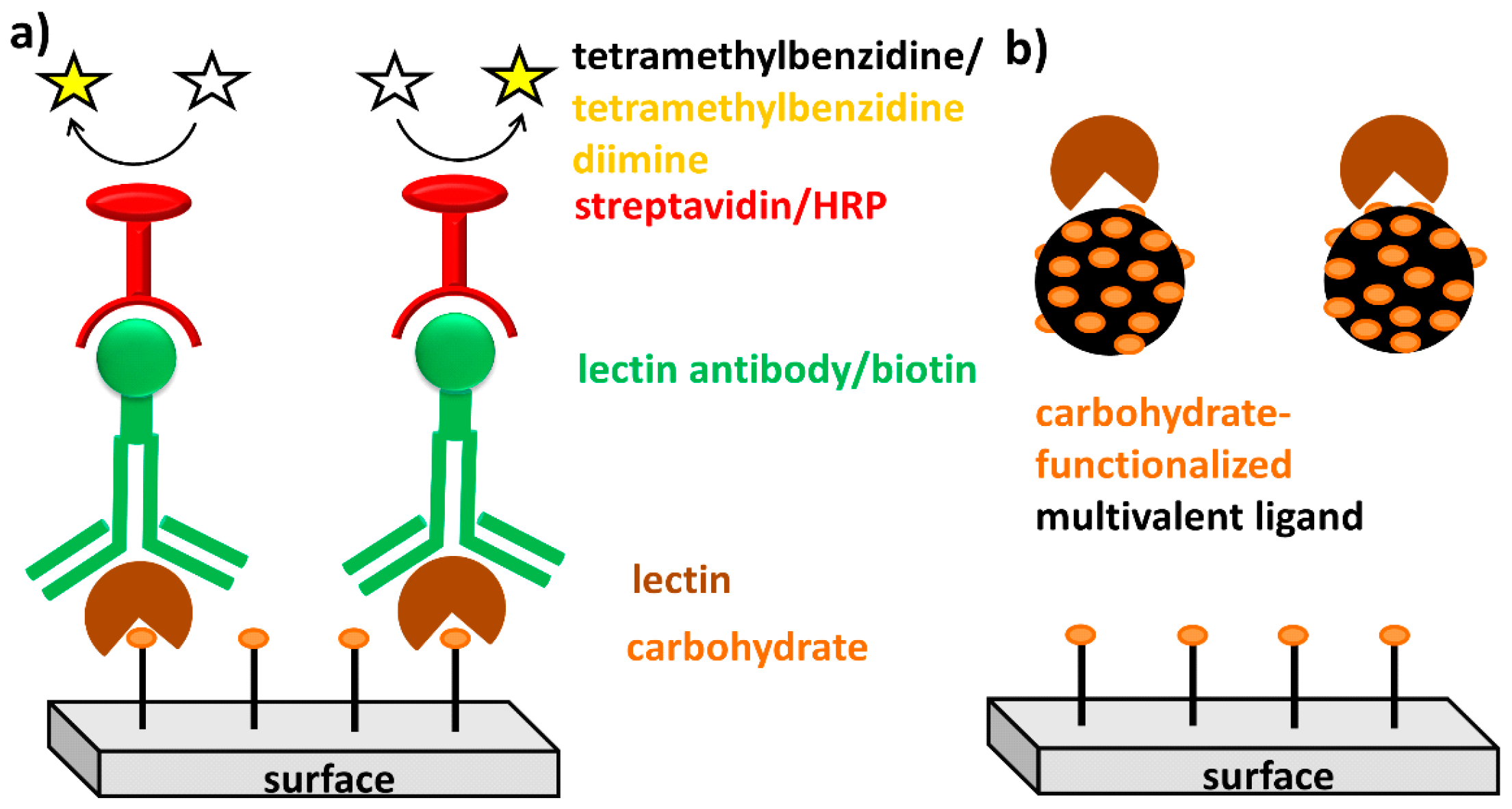 Molecules 20 07059 g001