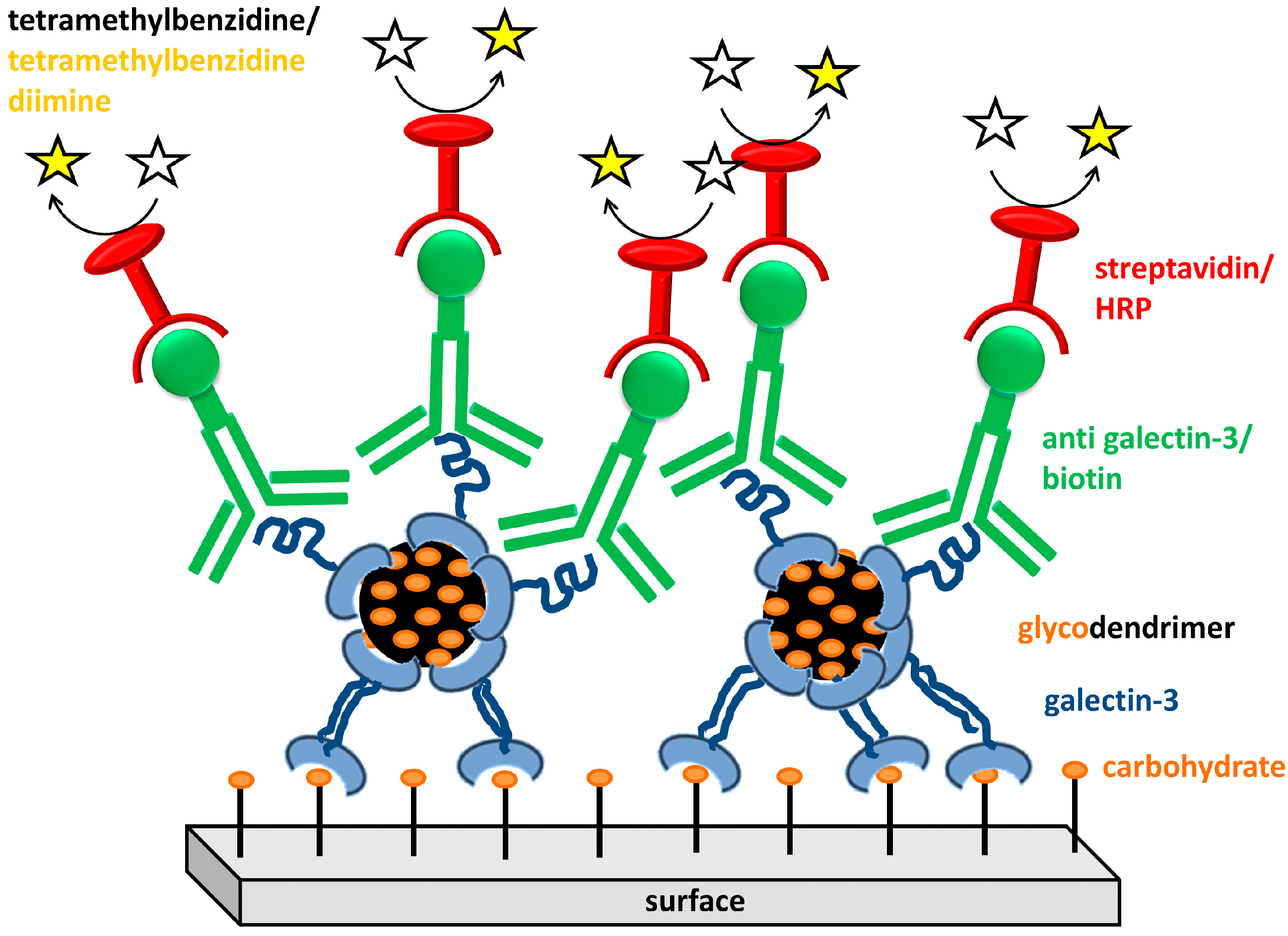 Molecules 20 07059 g002