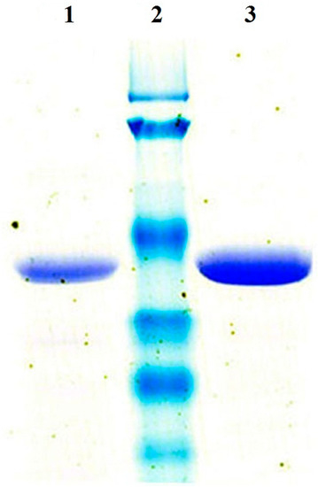 Molecules 20 07156 g001 550