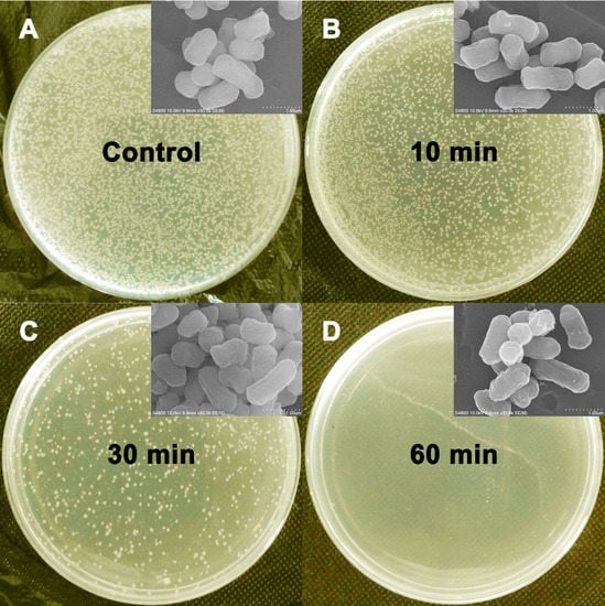 Molecules 20 07292 g004 550