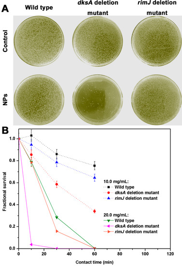 Molecules 20 07292 g006 550