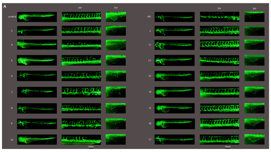 Molecules 20 07309 g003a 550