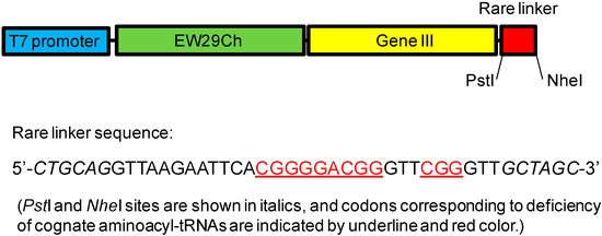 Molecules 20 07637 g003 550