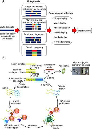 Molecules 20 07637 g005 550