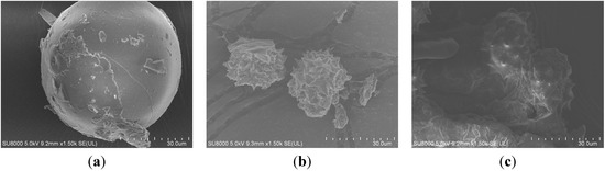 Molecules 20 07683 g010 550