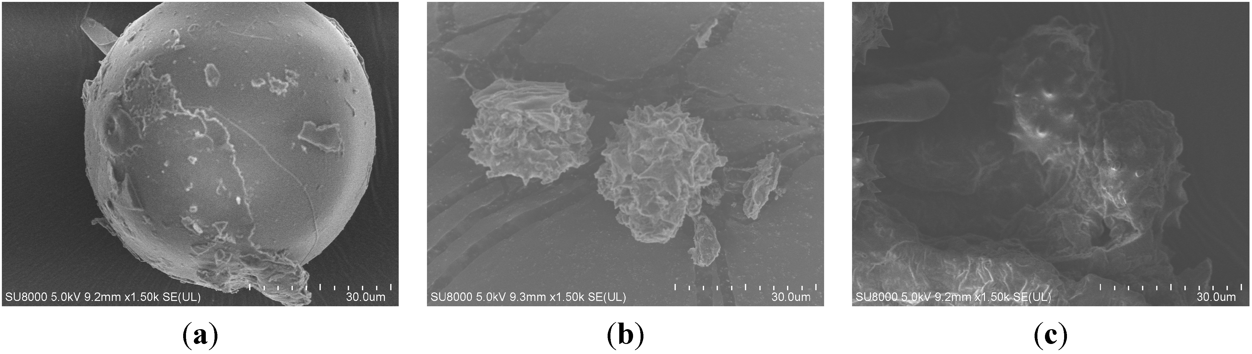 Molecules 20 07683 g010