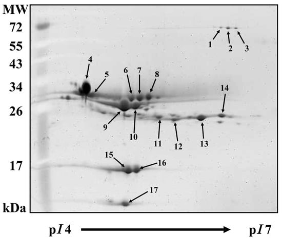 Molecules 20 07737 g003 550