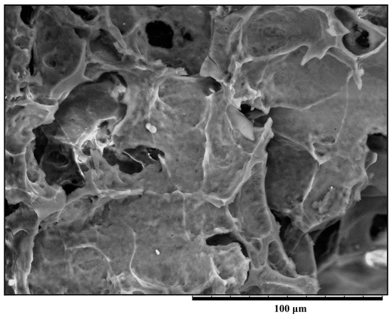 Molecules 20 07737 g006 550