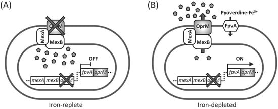 Molecules 20 07790 g001 550