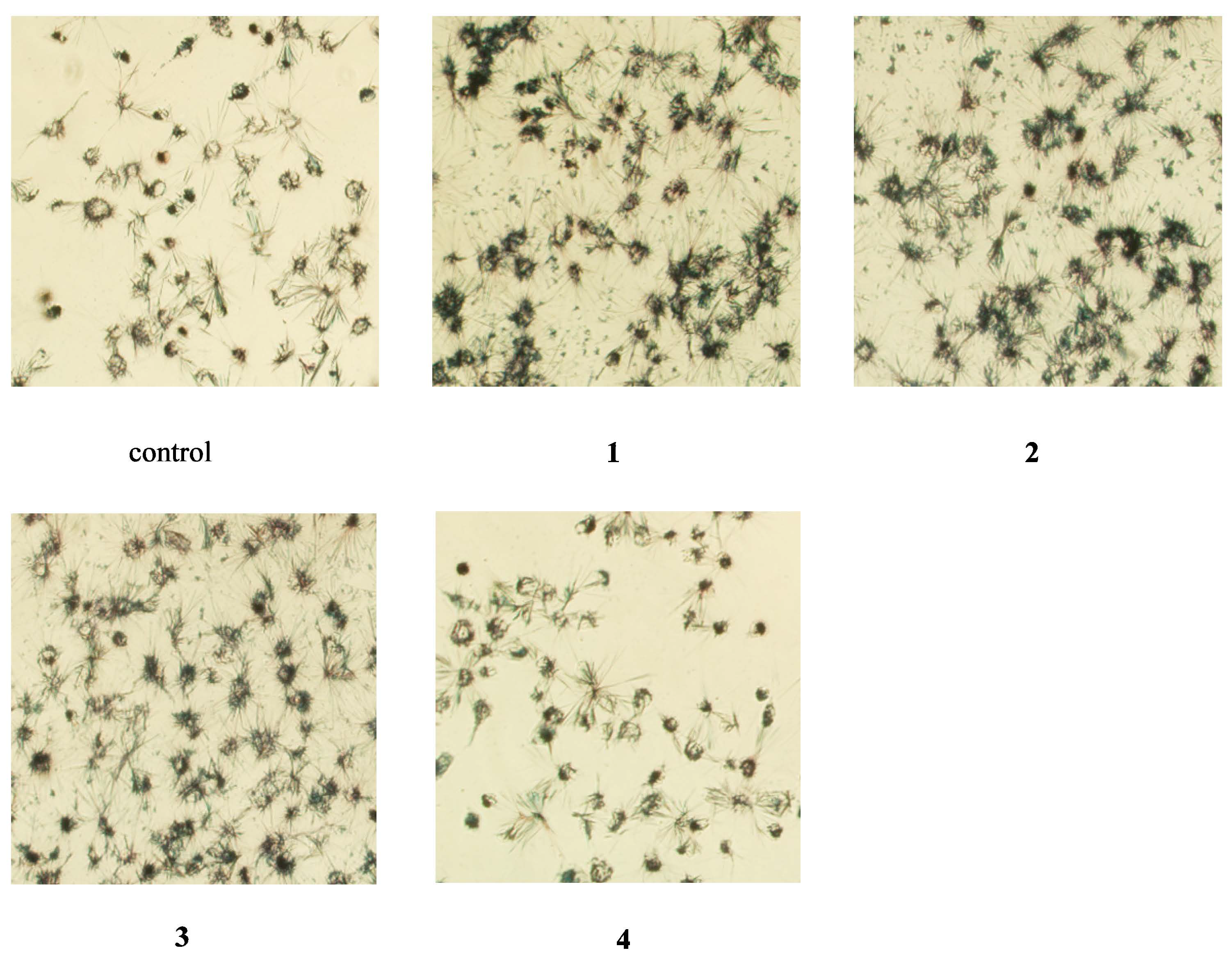 Molecules 20 08060 g003