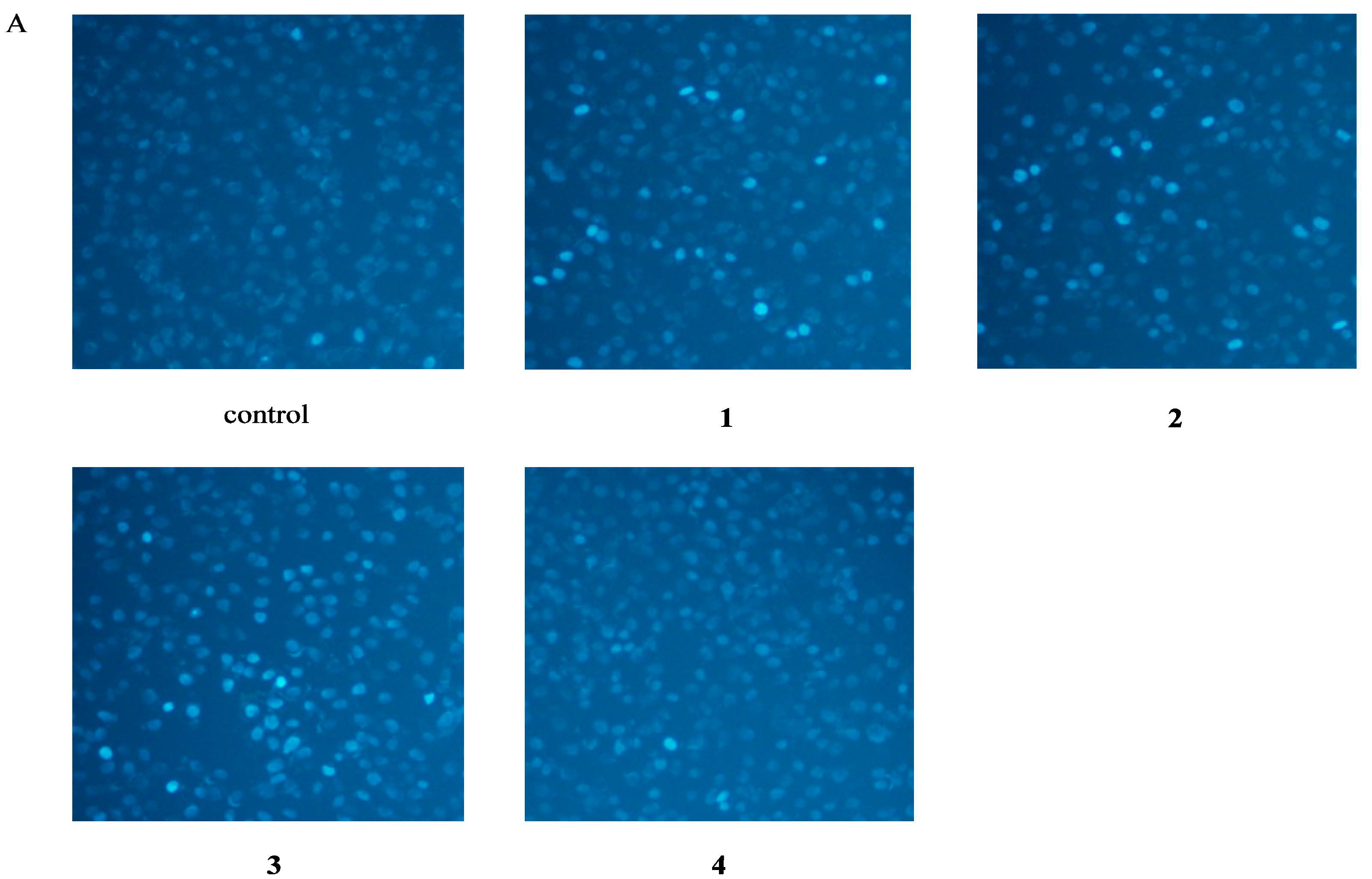 Molecules 20 08060 g004a