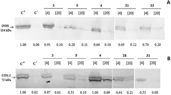 Molecules 20 08072 g002 550