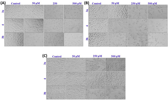 Molecules 20 08181 g003 550