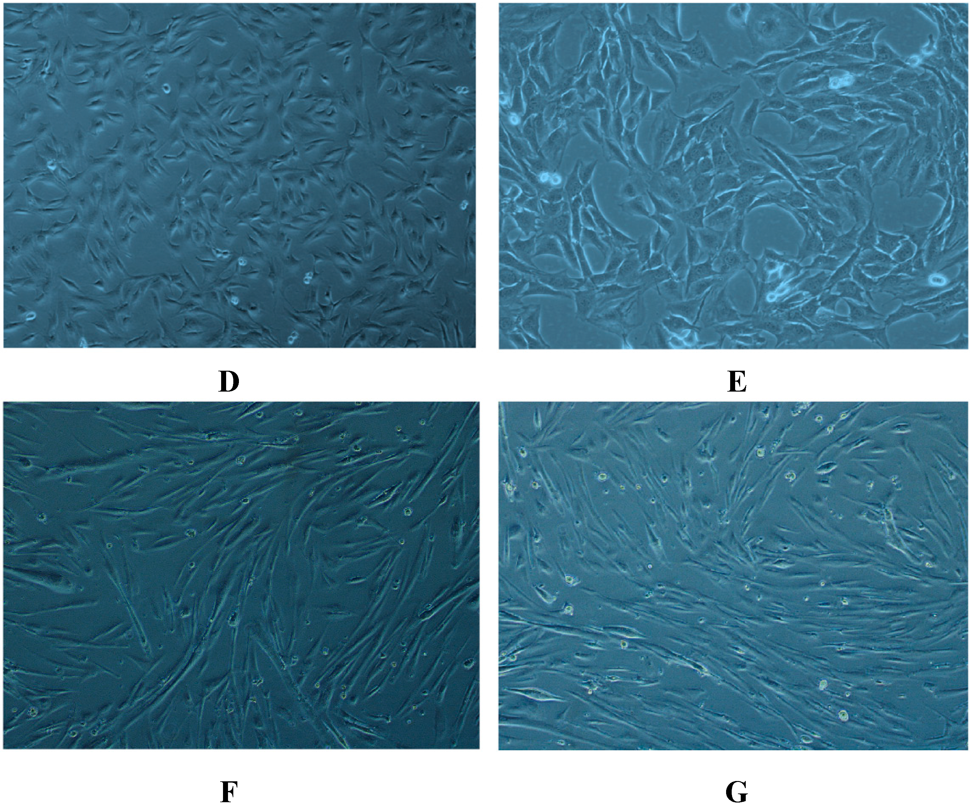 Molecules 20 08242 g001b