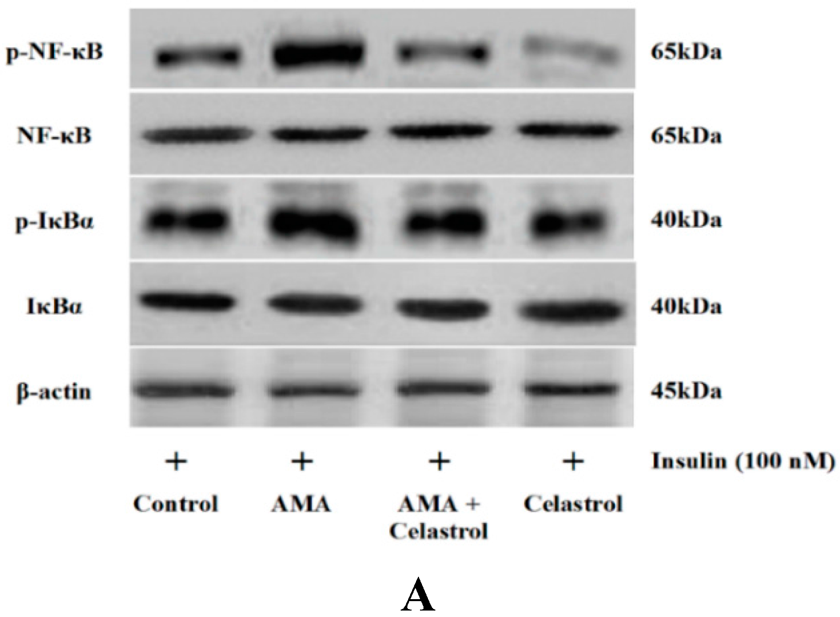 Molecules 20 08242 g007a