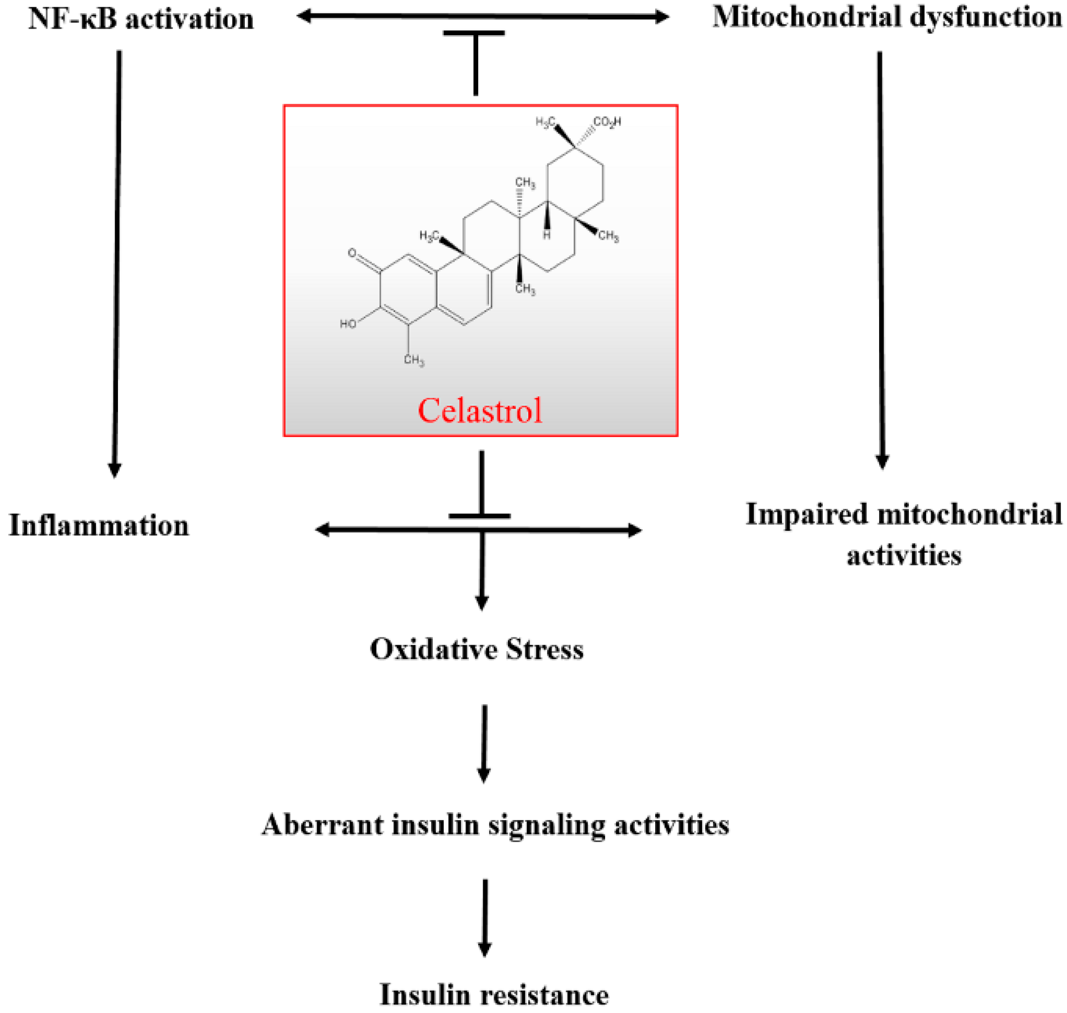 Molecules 20 08242 g010